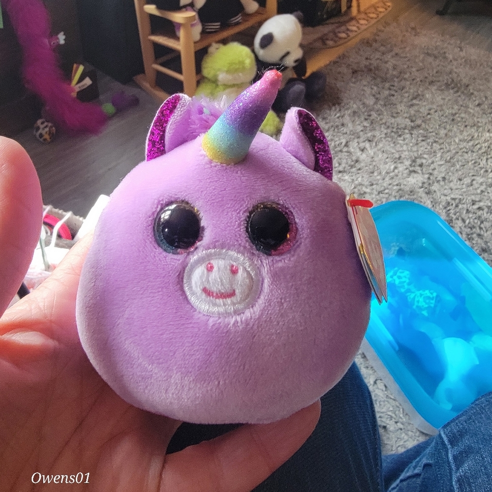 3in TY Squishs